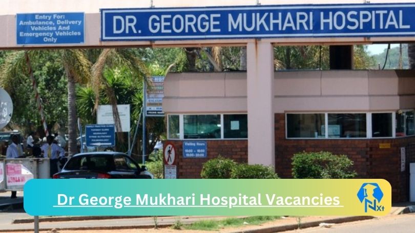 New x1 Dr George Mukhari Hospital Vacancies 2024 | Apply Now @professionaljobcentre.gpg.gov.za for Advanced Midwifery Nursing Science, Professional Nurse Speciality Jobs