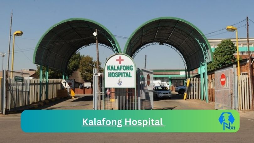 New X1 Kalafong Hospital Vacancies 2024 | Apply Now @professionaljobcentre.gpg.gov.za for Case Manager, Phlebotomist Jobs